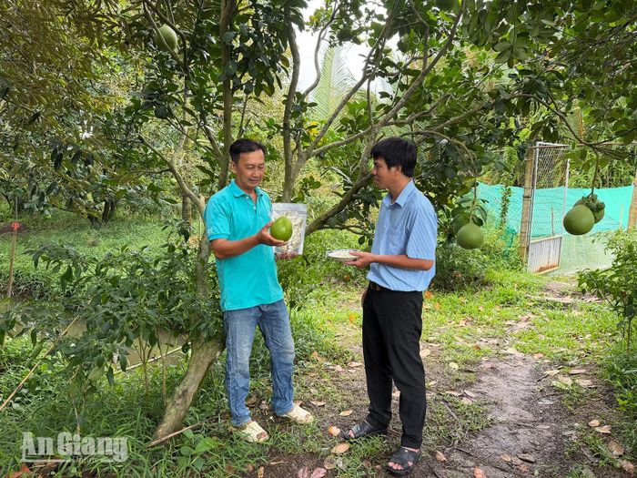 Anh Trần Minh Sự (bên trái) giới thiệu mứt làm từ vỏ bưởi đến du khách. Ảnh: CẨM TÚ