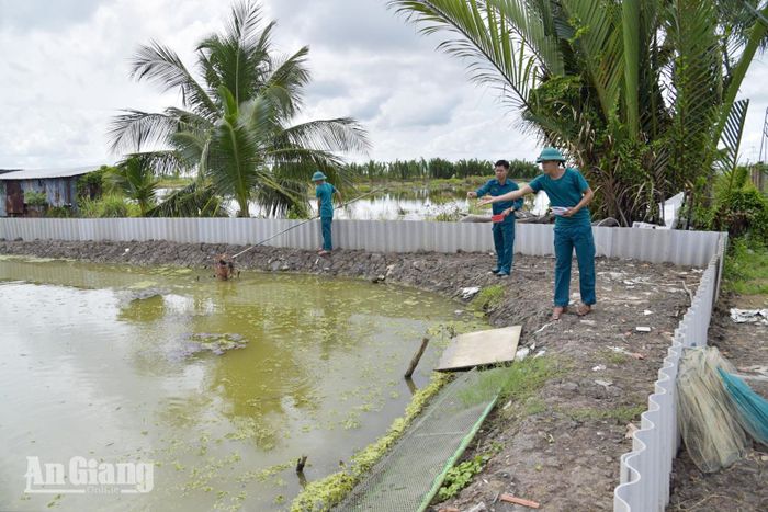 Đàn cá được nuôi bằng nguồn thức ăn tự nhiên như lúa và rau xanh, bảo đảm chất lượng, an toàn.