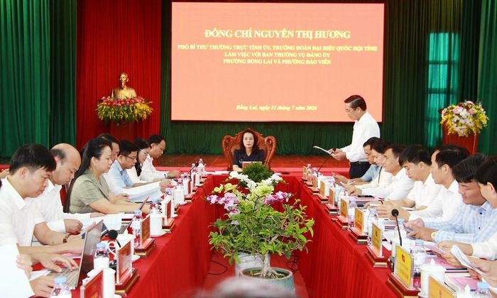  Các đại biểu dự buổi làm việc. 