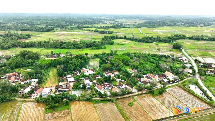 Vùng nông thôn, miền núi sẽ trở nên trù phú từ các chính sách hỗ trợ nông nghiệp của thành phố và Trung ương. Ảnh: ĐÔNG YÊN