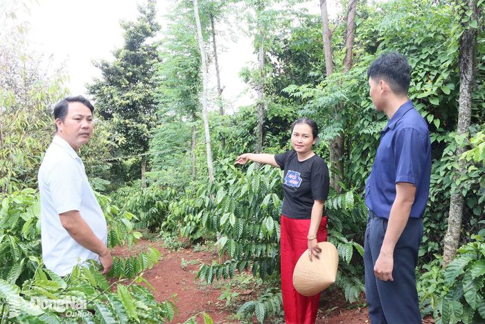 Gia đình chị Thị Liếc, khu phố 10, phường Lộc Ninh được xét duyệt xây nhà tiêu hợp vệ sinh.