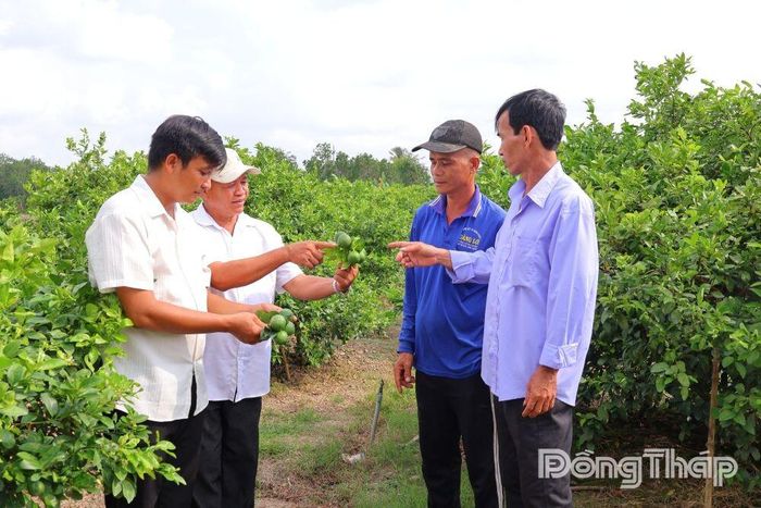 Ứng dụng khoa học - công nghệ góp phần nâng cao giá trị nông sản, hướng đến phát triển nền nông nghiệp hiện đại và bền vững.