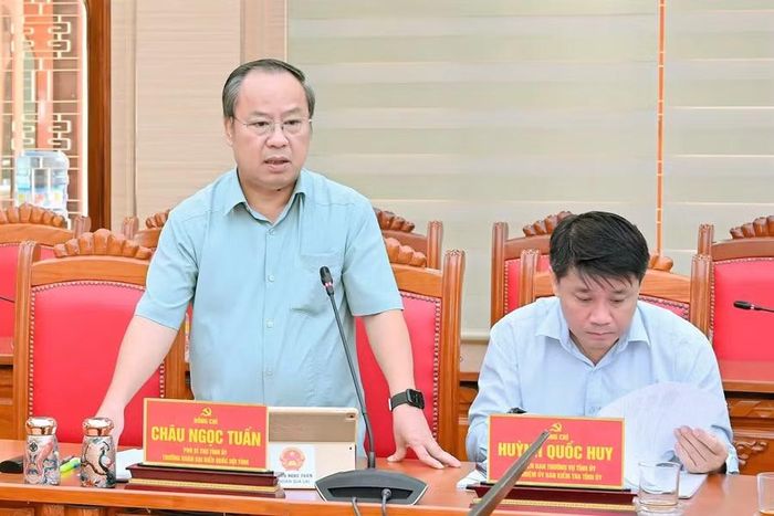 Phó Bí thư Tỉnh ủy Châu Ngọc Tuấn đề nghị huy động, sử dụng hiệu quả các nguồn lực ngoài nhà nước để phát triển hạ tầng văn hóa. Ảnh: Đức Thụy