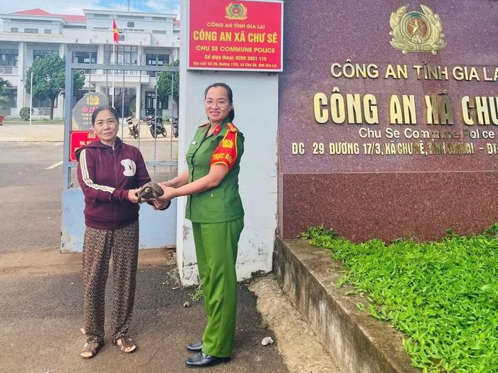 Bà Nguyễn Thị Nương giao nộp cá thể rùa núi vàng. Ảnh: ĐVCC 
