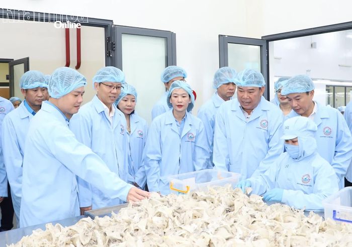 Đồng chí Nguyễn Thanh Hà và lãnh đạo các sở, ngành thăm nhà máy sản xuất của Công ty Cổ phần Nước giải khát Yến sào Khánh Hòa.