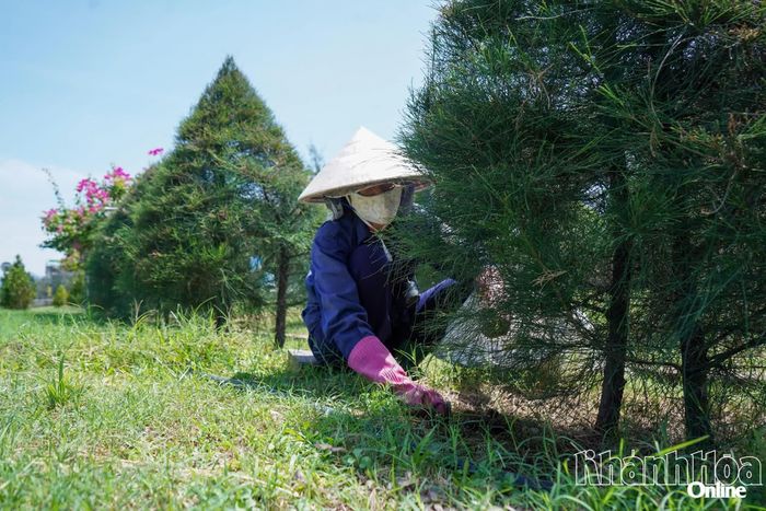Công nhân nhổ cỏ, chăm sóc cây xanh.