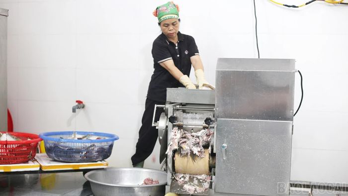 Máy tách xương giúp nâng cao năng suất, bảo đảm chất lượng nguyên liệu cho sản phẩm chả cá.