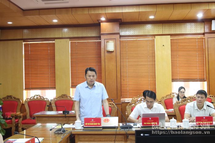 Lãnh đạo Hiệp hội Doanh nghiệp tỉnh phát biểu tại cuộc họp