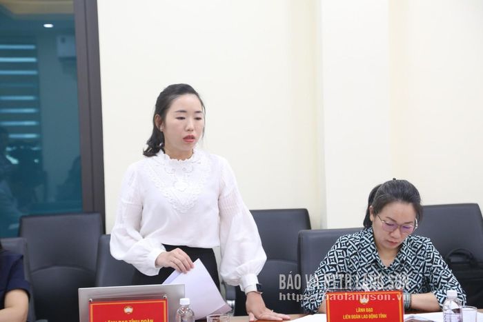 Đại diện lãnh đạo Tỉnh đoàn phát biểu tại cuộc họp