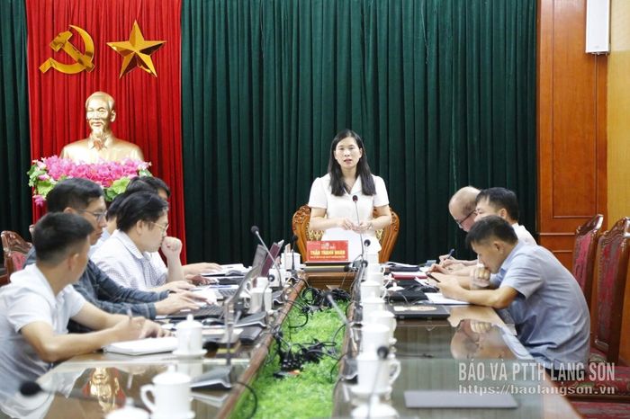 Đồng chí Trần Thanh Nhàn, Phó Chủ tịch UBND tỉnh phát biểu tại cuộc họp