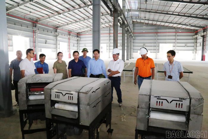 Đoàn công tác kiểm tra tiến độ xây dựng Nhà máy sản xuất và chế biến quế hữu cơ Bảo Thắng tại xã Xuân Quang.