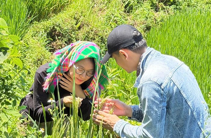 Du khách thích thú với ruộng bậc thang ở xã Mường Bo.