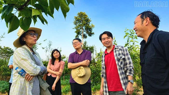 Anh Lý Seo Dũng, thôn Bản Phố có diện tích lê VH06 đang trò chuyện với các chuyên gia, cán bộ nghiên cứu ICRAF Việt Nam.