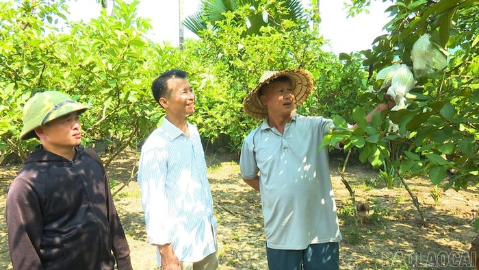 Thăm hỏi, động viên bà con Nhân dân phát triển kinh tế.