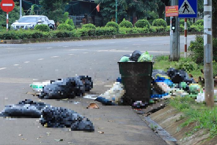 Rác thải tại khu vực đô thị phía Tây Lâm Đồng nhiều thời điểm thu gom chậm trễ, gây mất mỹ quan đô thị