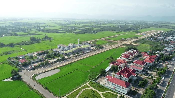 Cánh đồng lúa cạnh trung tâm xã Hàm Thuận
