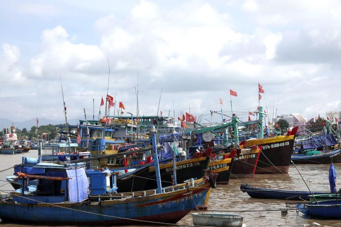 Khu vực cảng Phan Thiết và vùng nước phía trong hiện có khoảng 1.000 tàu cá neo đậu