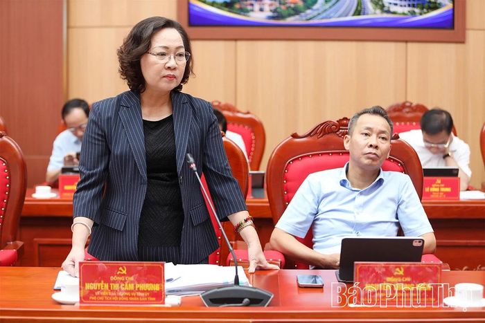 Phó Chủ tịch HĐND tỉnh Nguyễn Thị Cẩm Phương phát biểu tại hội nghị.
