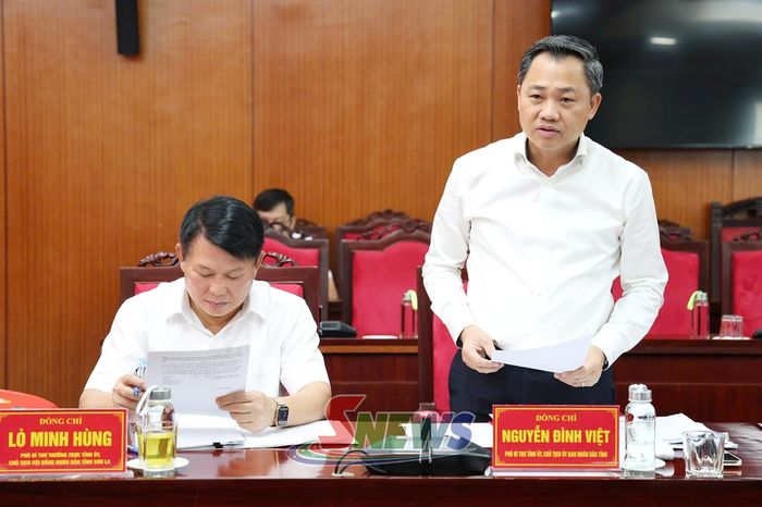 Đồng chí Nguyễn Đình Việt, Phó Bí thư Tỉnh ủy, Chủ tịch UBND tỉnh, báo cáo tại cuộc giám sát.