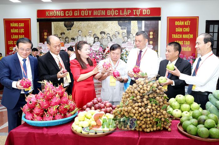 Các đại biểu tham quan gian hàng trưng bày trái cây của Hợp tác xã Nông nghiệp Ngọc Hoàng.