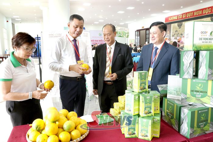 Các đại biểu tham quan gian hàng trưng bày sản phẩm của Hợp tác xã Sản xuất kinh doanh và dịch vụ tổng hợp Bình Thuận.