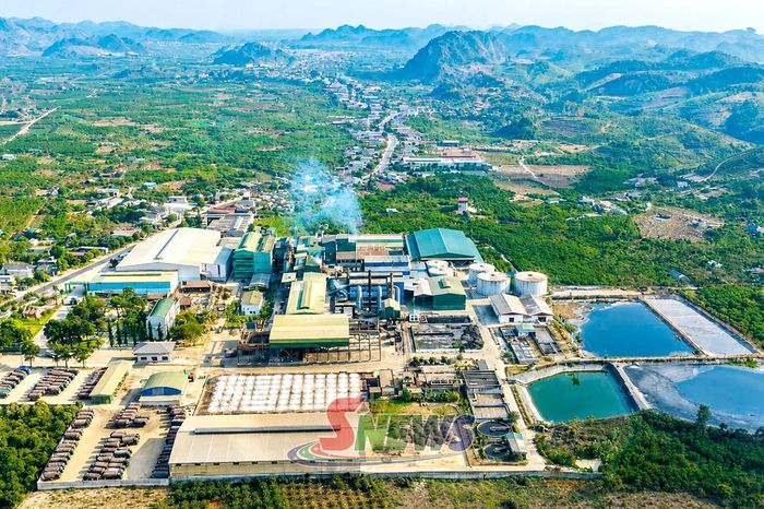 Công ty cổ phần Mía đường Sơn La liên kết sản xuất với hơn 10.000 hộ nông dân trồng trên 9.000 ha mía.