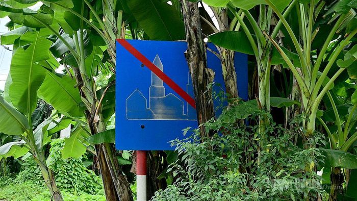 Biển báo giao thông bị cây cối che khuất tầm nhìn. Ảnh chụp trên tuyến đường Tân Hà, phường Minh Xuân. Ảnh P.V