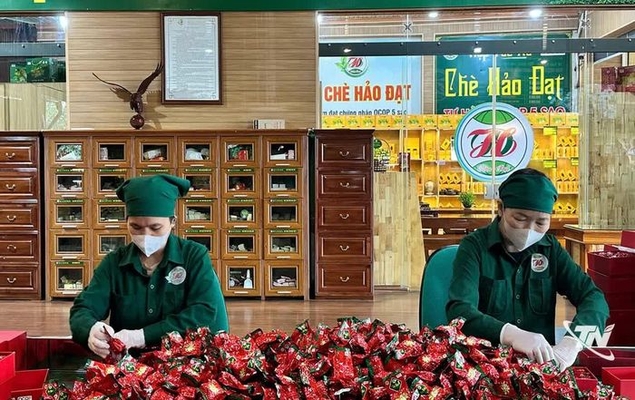 Thái Nguyên có 204 sản phẩm chè OCOP từ 3 đến 5 sao