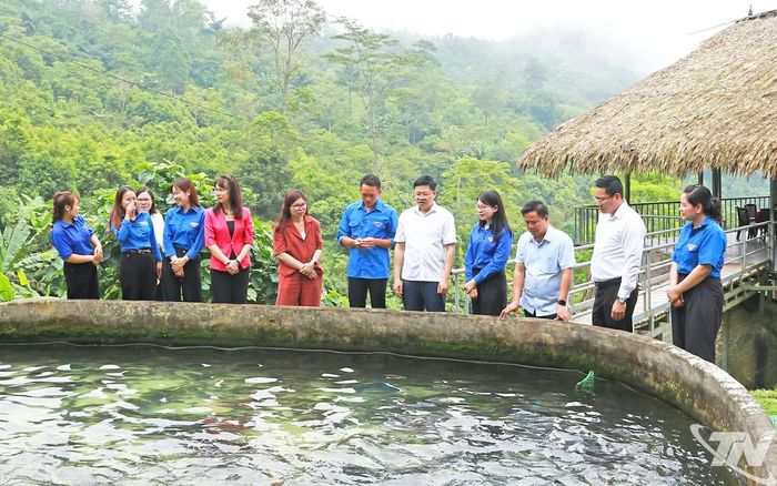 Đồng chí Đinh Quang Tuyên, Phó Bí thư Tỉnh ủy, Chủ tịch Ủy ban MTTQ tỉnh Thái Nguyên thăm mô hình thanh niên lập nghiệp ở xã Thượng Minh.