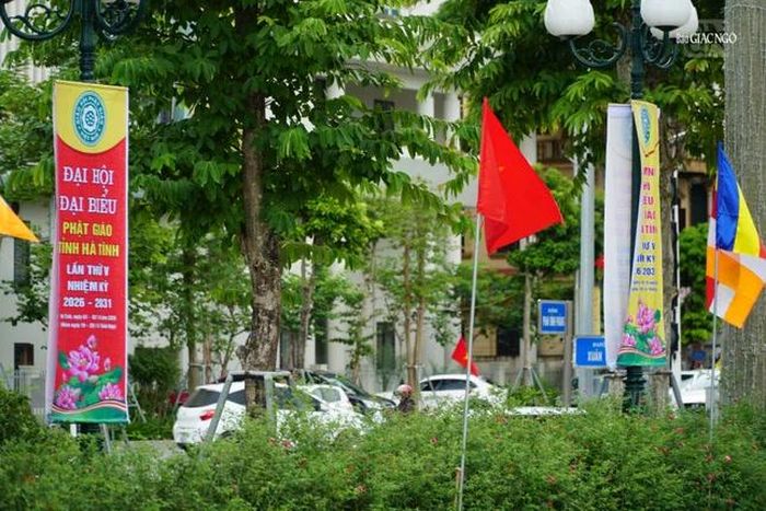 Cờ và biểu được treo dọc các tuyến đường dẫn đến Trung tâm Văn hóa và Điện ảnh tỉnh