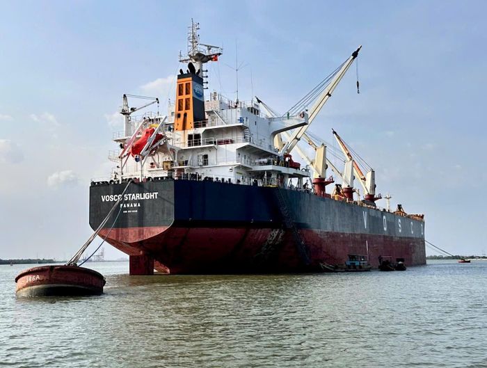 Giữa bối cảnh thị trường hàng hải nhiều biến động, các doanh nghiệp lớn đã tận dụng cơ hội để bứt phá, ghi nhận mức tăng trưởng doanh thu, lợi nhuận ấn tượng trong nửa đầu năm 2026 (Ảnh minh họa).