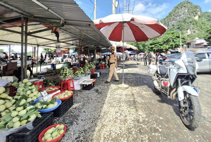 Chỉ huy Trạm CSGT Tùng Diễn cho biết: Đến nay, đơn vị đã đến tận nhà tuyên truyền, ký cam kết đối với gần 300 hộ kinh doanh, hộ có diện tích trồng na lớn. Ngoài ra, trong quá trình tuần tra, kiểm soát, hàng trăm người dân cũng được các tổ công tác tuyên truyền, nhắc nhở, yêu cầu ký cam kết chấp hành quy định liên quan.