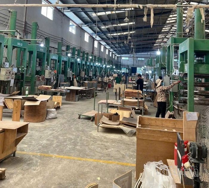 Doanh nghiệp ngành gỗ lựa chọn tập trung vào các sản phẩm có yêu cầu kỹ thuật cao. Ảnh: Lạc Nguyên