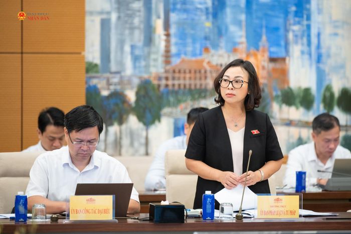 ĐBQH hoạt động chuyên trách tại Ủy ban Pháp luật và Tư pháp Tống Thị Hạnh phát biểu