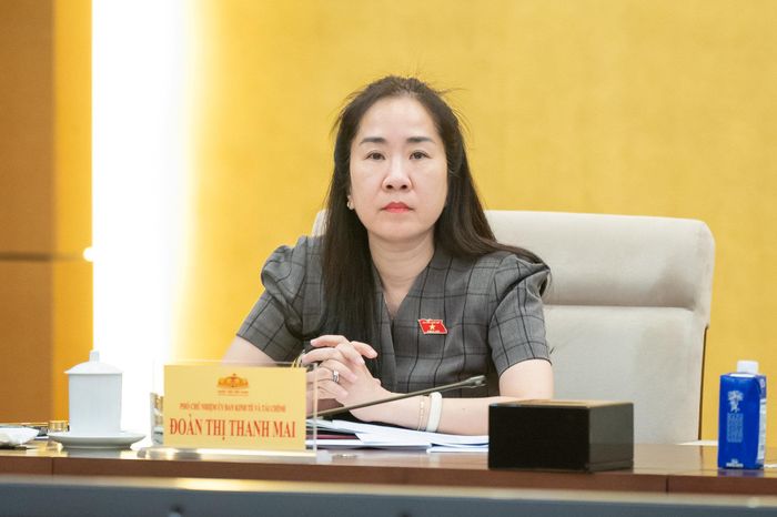Phó Chủ nhiệm Ủy ban Kinh tế và Tài chính Đoàn Thị Thanh Mai phát biểu