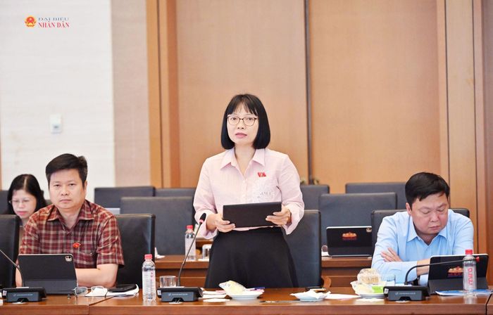 Theo Phó Trưởng Đoàn ĐBQH chuyên trách TP Hải Phòng Nguyễn Thị Việt Nga, khái niệm “nội dung có tính chất xuất bản trên không gian mạng” còn quá rộng và khó áp dụng