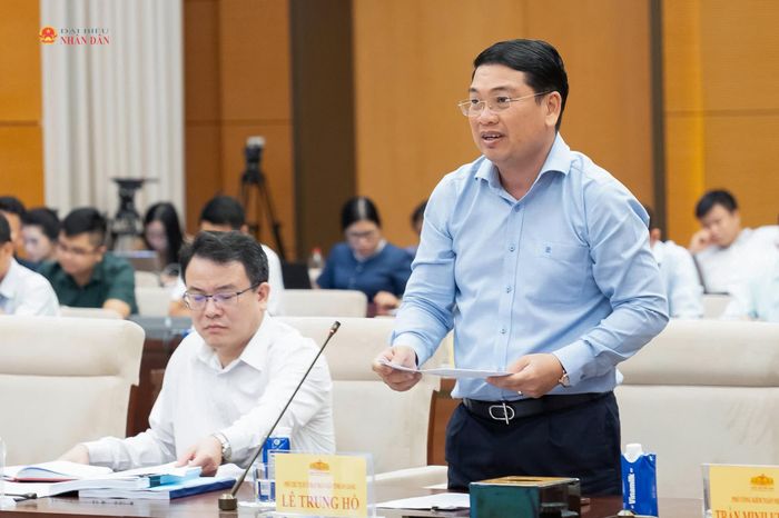 Phó Chủ tịch UBND tỉnh An Giang Lê Trung Hồ phát biểu