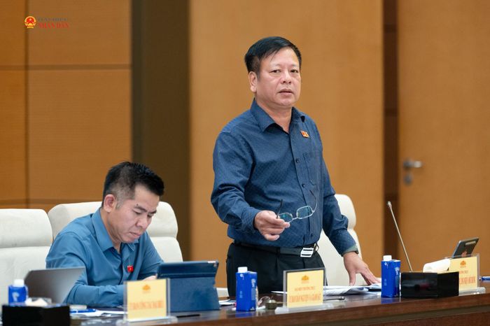 Phó Chủ nhiệm Ủy ban Pháp luật và Tư pháp Nguyễn Trường Giang phát biểu
