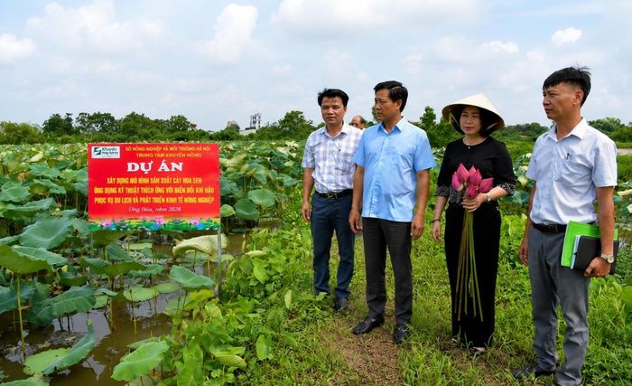 Các đại biểu tham quan mô hình sản xuất cây hoa sen thích ứng với biến đổi khí hậu và bảo vệ môi trường, phù hợp với nhu cầu của thị trường tại xã Ứng Hòa.