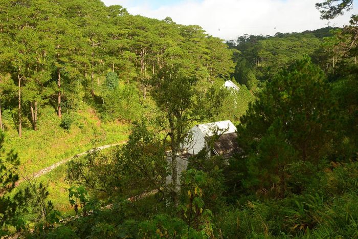 Khu vực dự án Robin Dalat Resort.