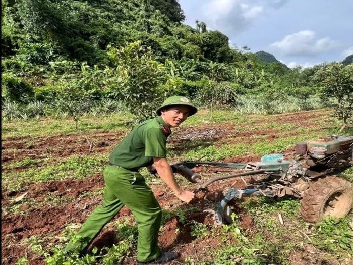Công an xã Tân Đoàn giúp gia đình bà Nông Thị Tám thu hoạch ngô và chuẩn bị đất cho vụ ngô mới.