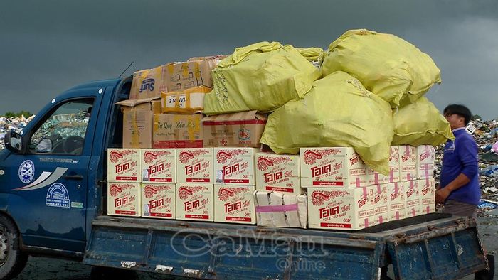 Toàn bộ quá trình tiêu hủy được thực hiện nghiêm ngặt theo đúng quy định pháp luật, đảm bảo vệ sinh môi trường.