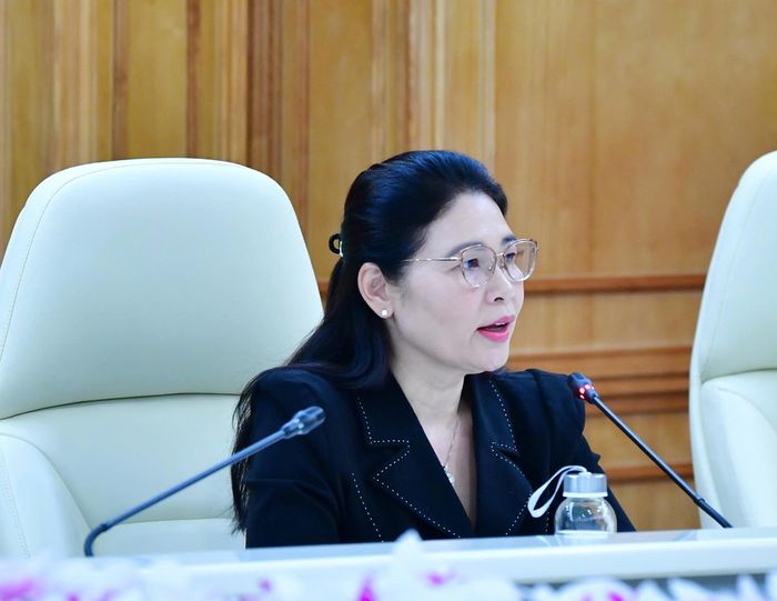 Phó Tổng Kiểm toán nhà nước Hà Thị Mỹ Dung phát biểu tại cuộc họp. Ảnh: M. THÚY