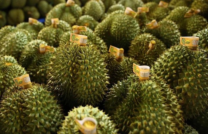 Sầu riêng tươi Việt Nam được phép xuất khẩu vào Ấn Độ. Ảnh minh họa