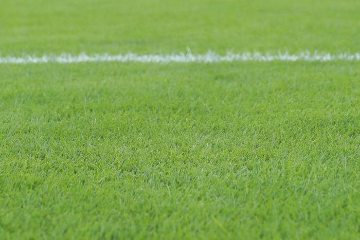 Mặt sân được thảm cỏ Zeon Zoysia, loại cỏ nổi tiếng với mật độ dày, màu xanh đẹp, khả năng chịu giẫm đạp cao và phục hồi nhanh sau thi đấu. Ảnh: Ngọc Tú