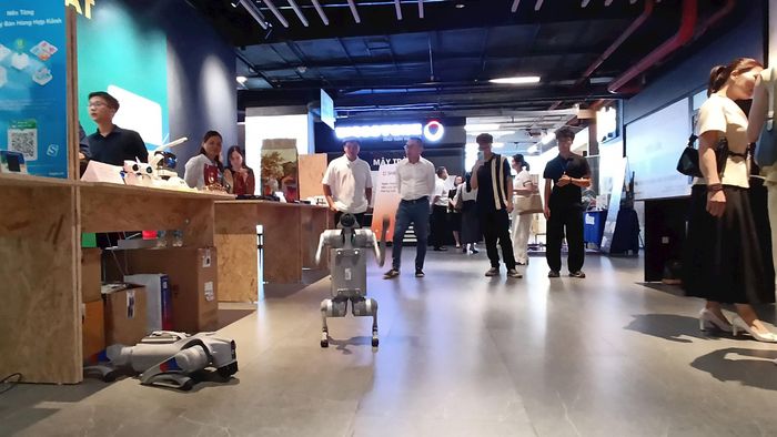 Robot trình diễn tại sự kiện. Ảnh: Phương Nga
