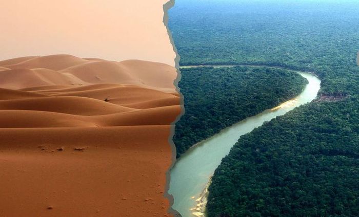Giữa Sahara và rừng Amazon được kết nối bền chặt bởi nhiều yếu tố di chuyển liên tục qua đại dương. Ảnh: Medium
