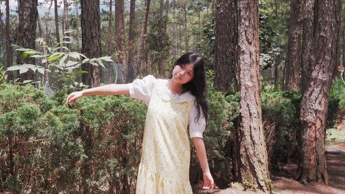  Bắt trọn tọa độ rừng thông Đà Lạt. Ảnh: Thảo Tâm 