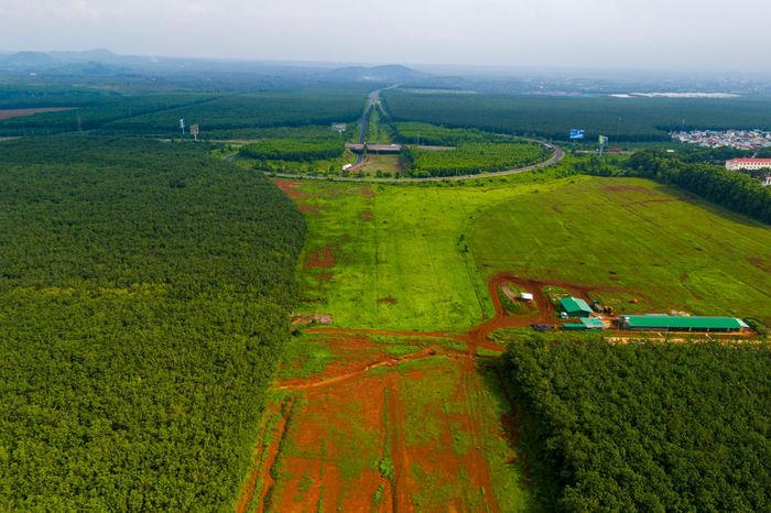 Tại điểm đầu của tuyến cao tốc Dầu Giây - Tân Phú đi qua địa bàn phường Dầu Giây, TP Đồng Nai, đơn vị thi công cũng đã thực hiện phát quang, bóc lớp đất hữu cơ, hình thành hướng tuyến.
