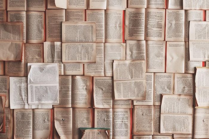 Các công ty AI đang thu mua hàng triệu cuốn sách cũ để có dữ liệu sạch. Ảnh: Patrick Tomasso/Unsplash.